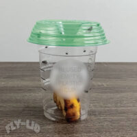 Fly Lid in action