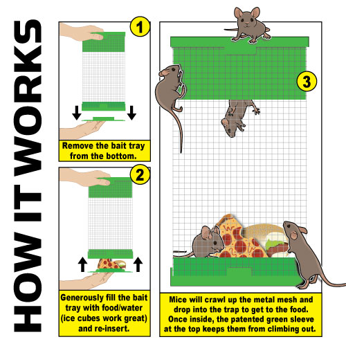 Billy-Bob™ Mouse Trap: Humane Multi-Catch Mouse Trap! - Billy Bob