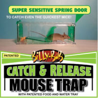 Catch and release mouse trap