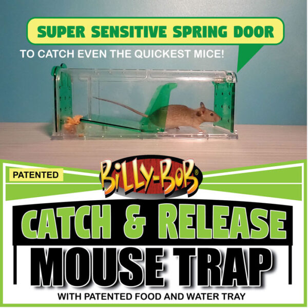 Catch and release mouse trap