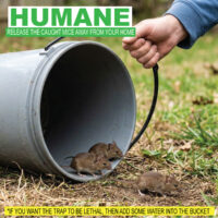 Billy-Bob Flippin' Bucket Mouse Trap - Image 5