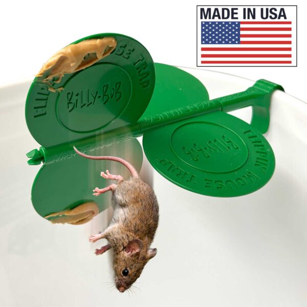 Flipping-Trap-main-image-webiste